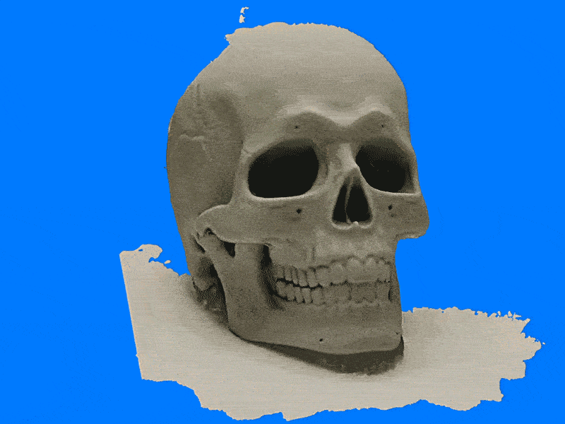 Photoscan Skull